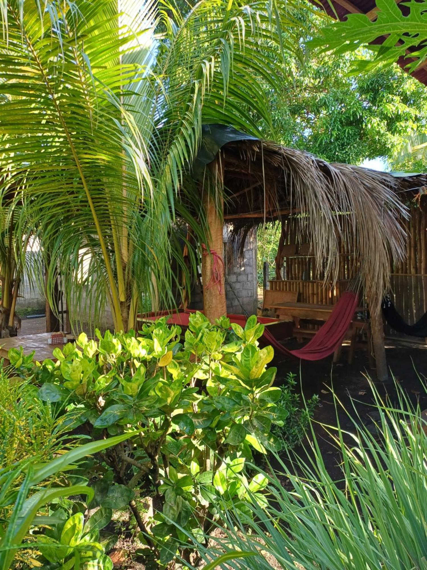 Cabanas Privadas Dilany Moyogalpa Exterior foto